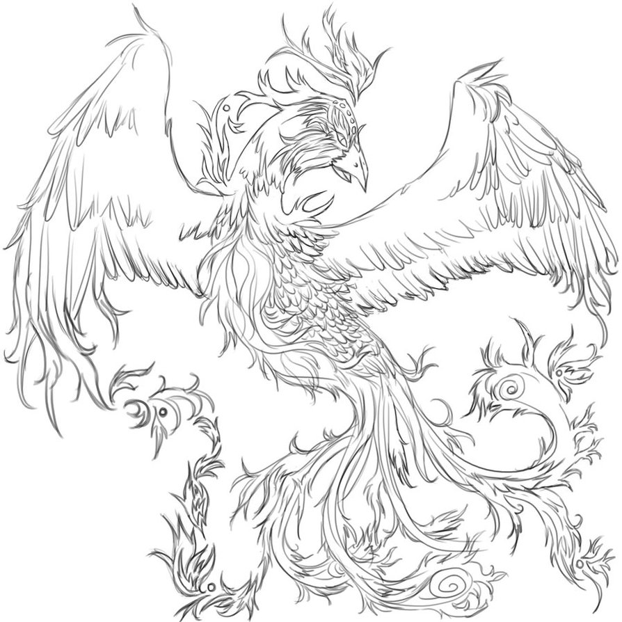 894x894 Phoenix Tattoos Designs, Ideas And Meaning Tattoos For You