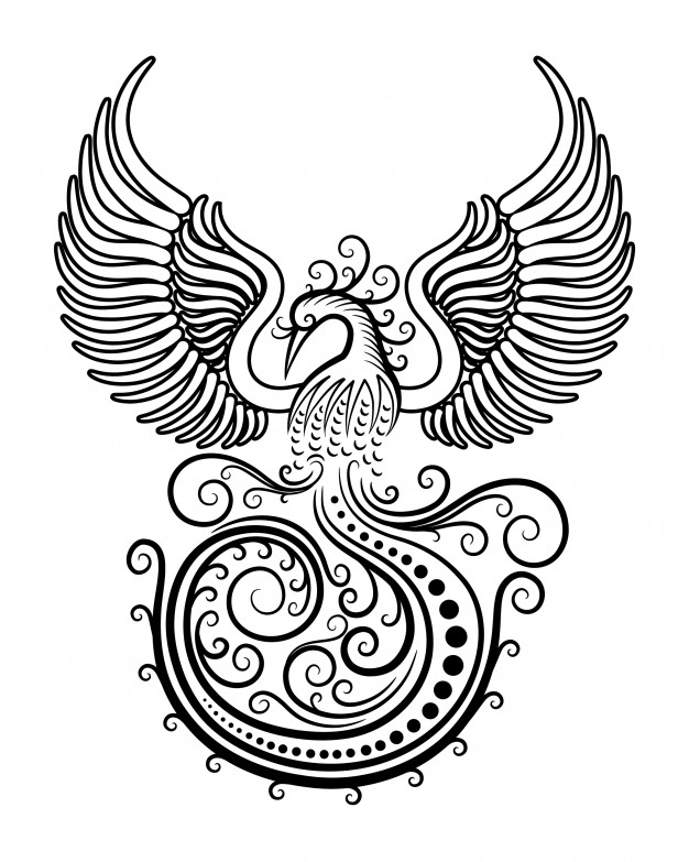 626x783 Phoenix Bird Tattoo Ornament Decoration Vector Premium Download