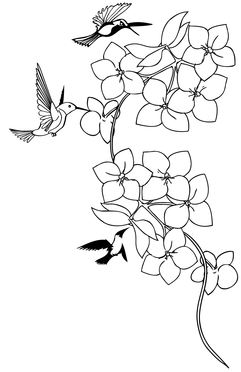 792x1224 Tattoos Of Humming Bird Hummingbird Bird Tattoo Designs