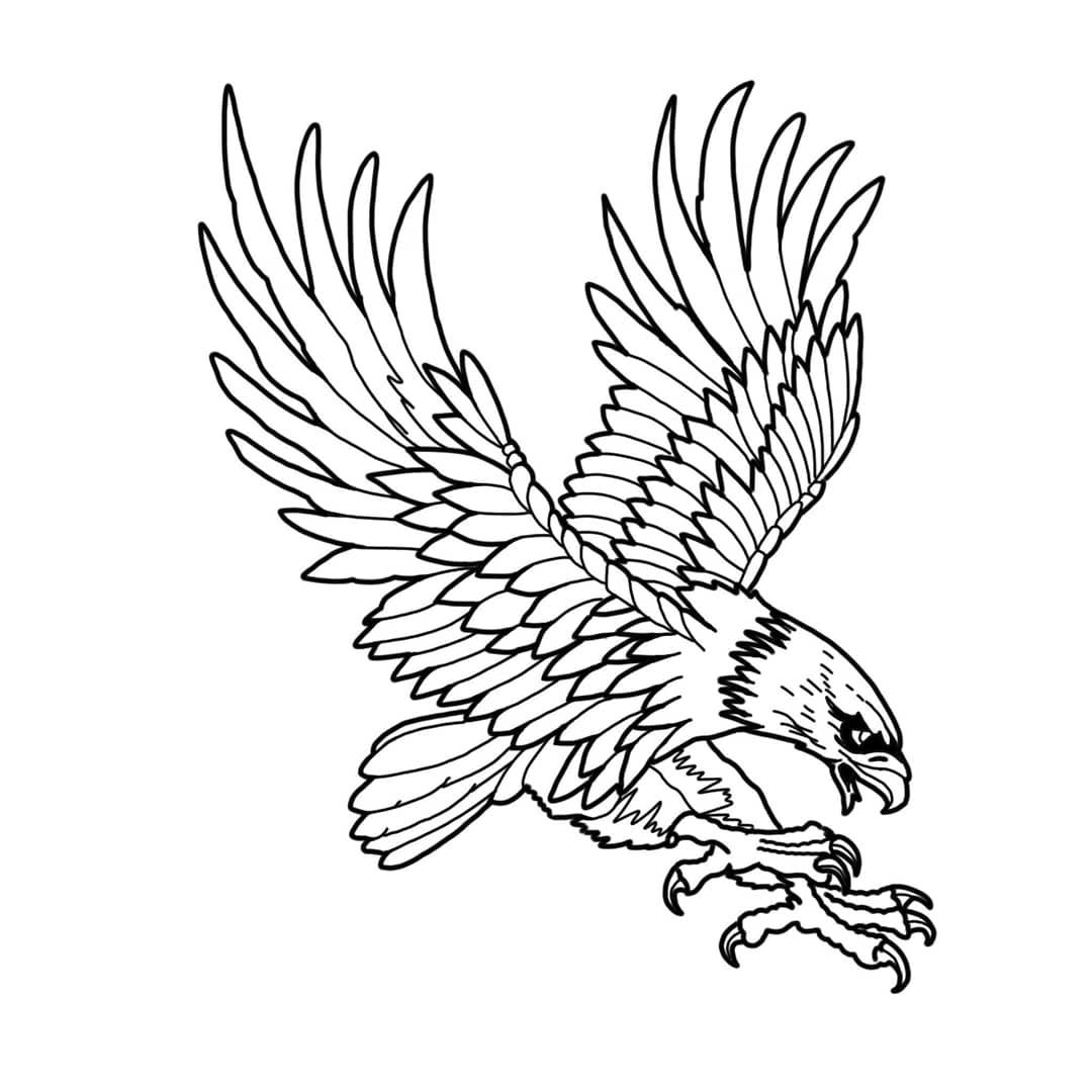 Bird Tattoo Drawing at GetDrawings | Free download