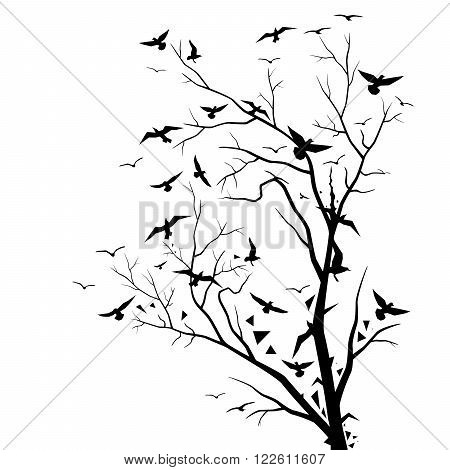 450x470 Dry Tree Flying Air Birds Vector Amp Photo Bigstock