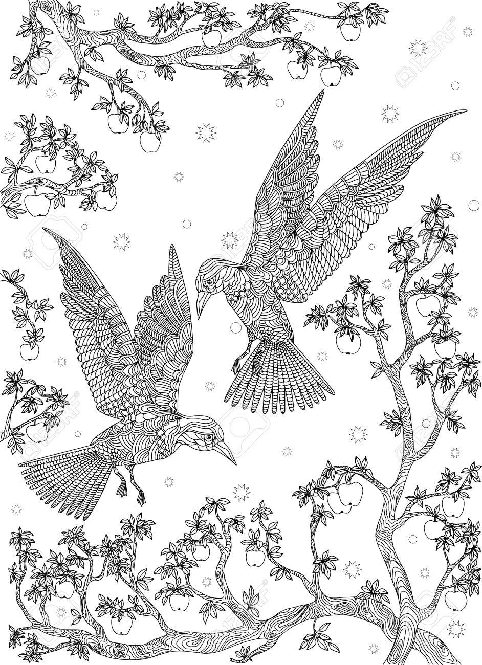 942x1300 Hand Drawn Bird