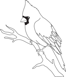 257x300 Parrot Clipart Tree Drawing