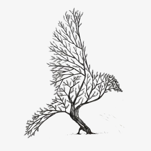 500x500 Bird Tree,hand Painted, Black And White, Flat, Bird Tree Png Image