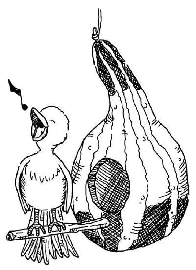 400x549 Bird Watching Projects For Kids Howstuffworks