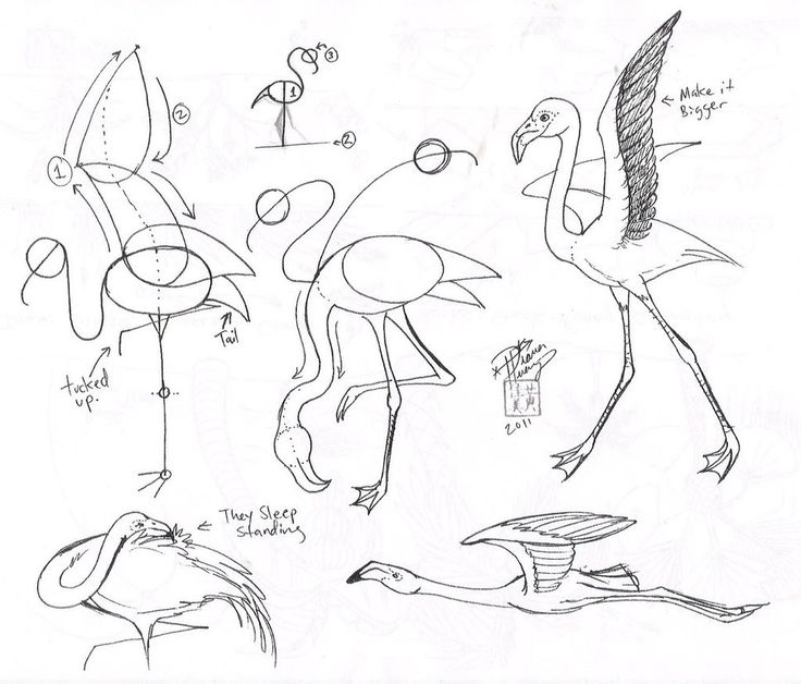 736x628 373 Best Penink Winged Images On Art Drawings, Art