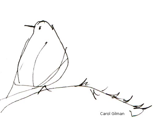 500x388 Lady Robin Is Bird Watching