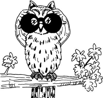 400x381 Owl Eyes Activity Howstuffworks