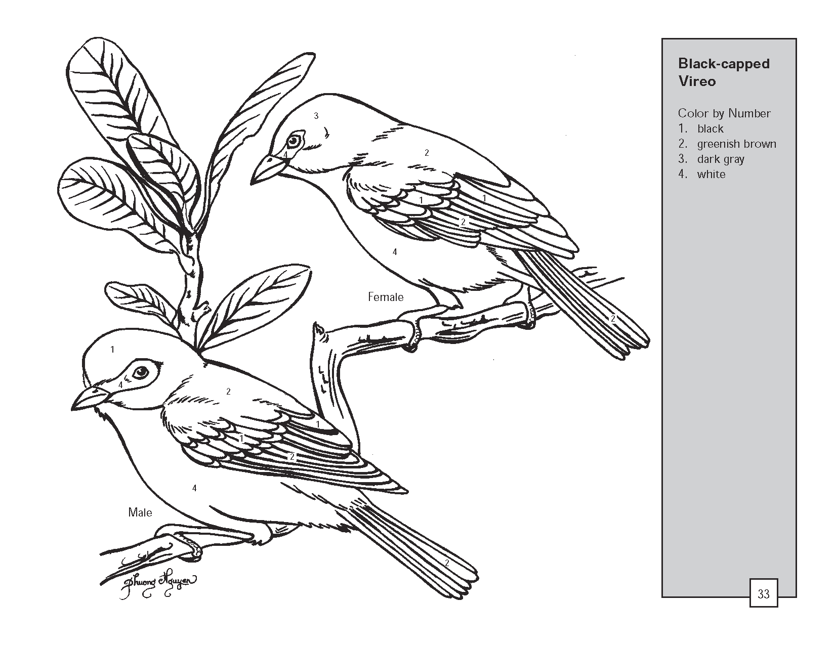 1650x1275 Realistic Bird Coloring Pages Texas Vireo Bird Color By Number