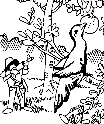 446x528 Saving An Endangered Endemic Bird The Case Of The Black Shama