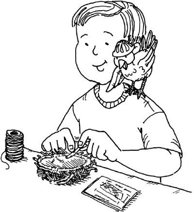 400x436 Bird Watching Activities For Kids Howstuffworks