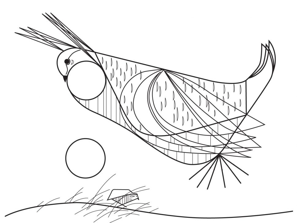 970x728 Coloring Drawing Birds Bird Drawings Charlie Harper Coloring