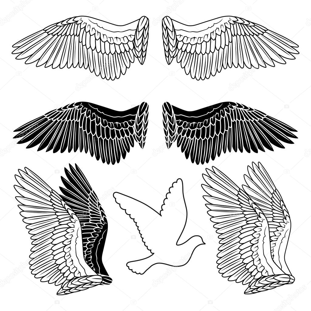 1024x1024 Dove Bird Wings Set Stock Vector Arlatis