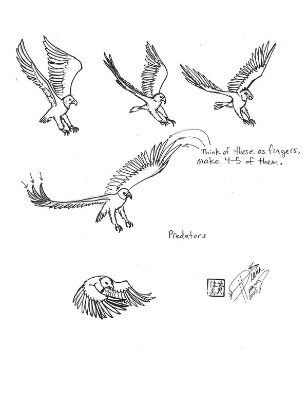 600x778 Draw A Bird Of Prey 2 By Diana Huang