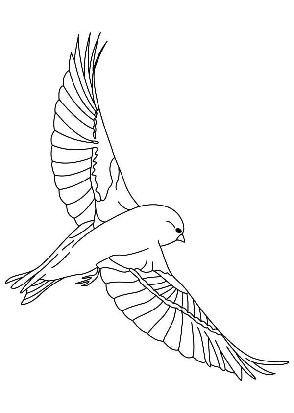 600x842 Find The Best Coloring Pages Resources Here!