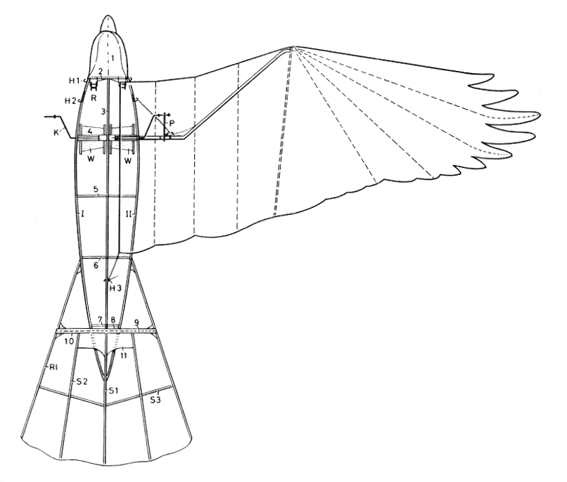 806x686 How Ornithopters Fly