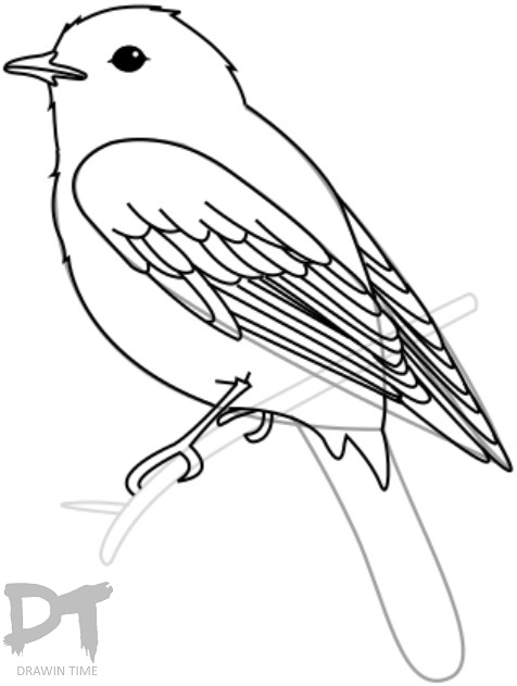476x631 How To Draw A Bird Drawintime