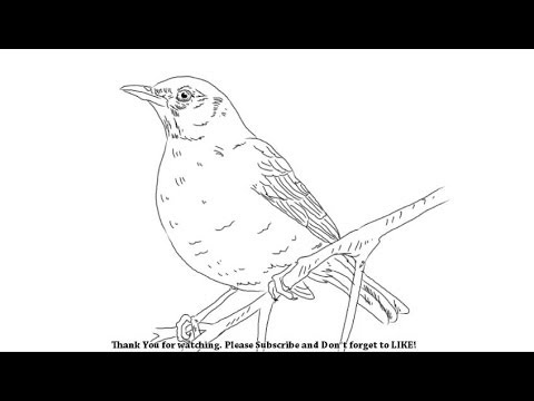 480x360 How To Draw A Bird Yzarts Yzarts