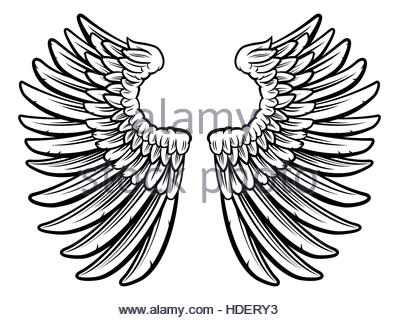 399x320 Pair Of Spread Out Eagle Bird Or Angel Wings Stock Photo, Royalty