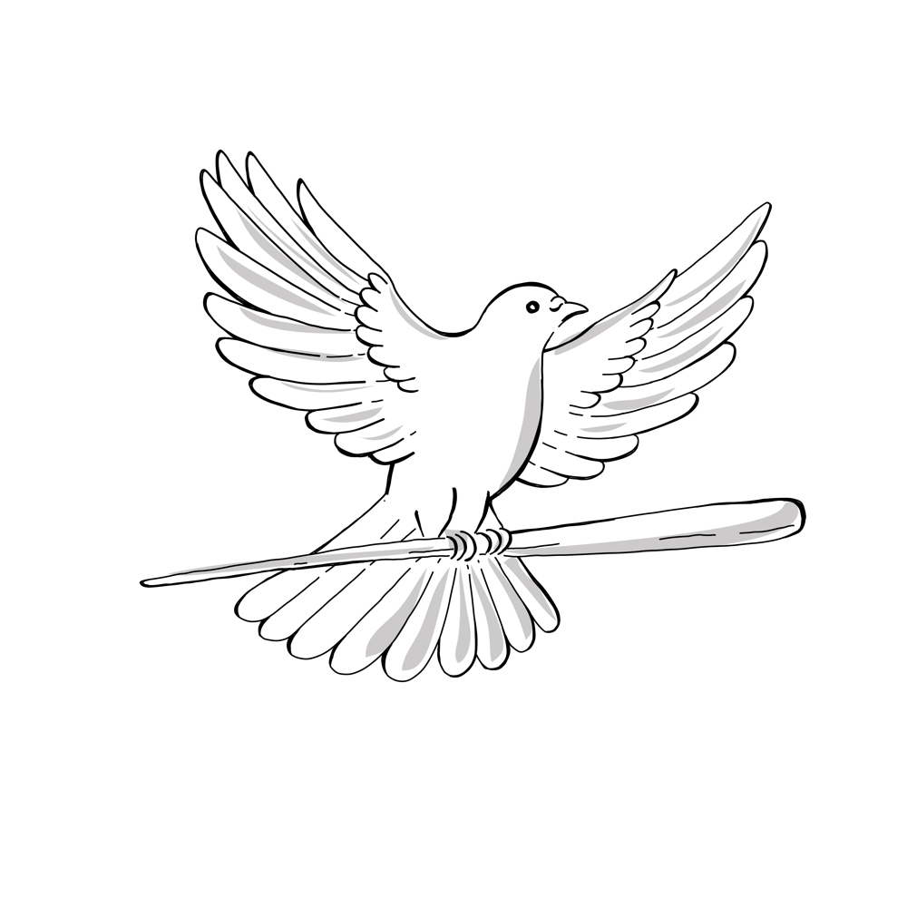 1000x1000 Pigeon Or Dove Flying With Cane Drawing On Behance