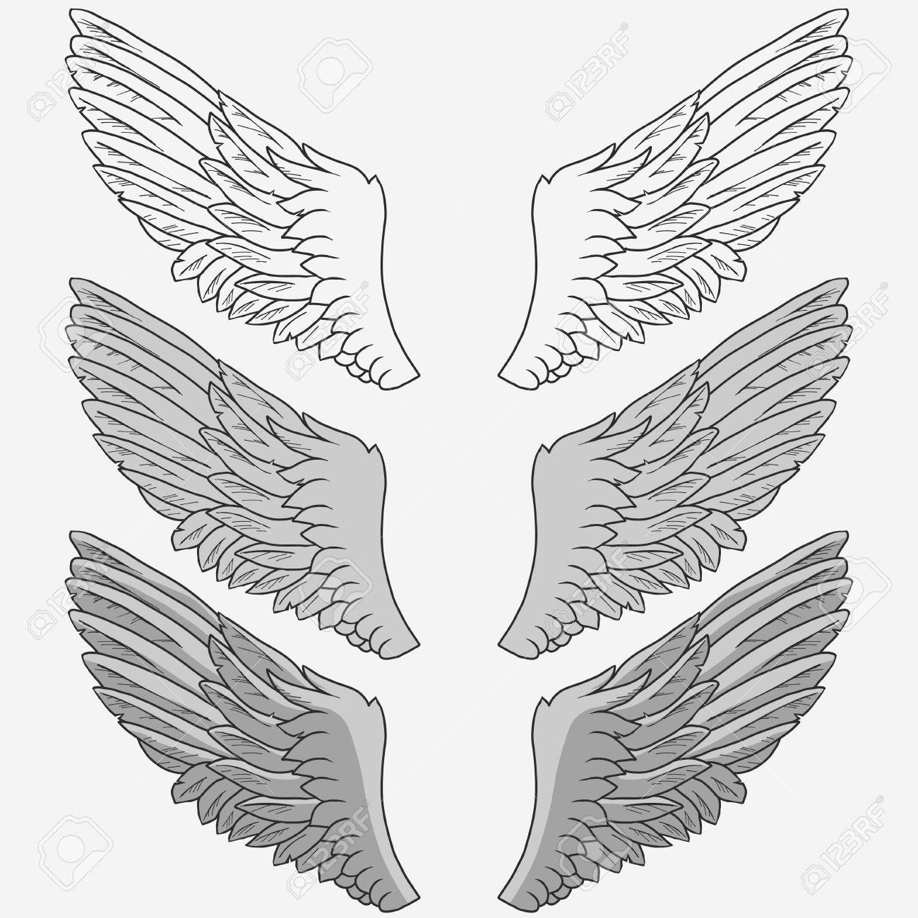 1300x1300 Wings Of Bird Set, Hand Drawn Angel Wing. Vector Royalty Free