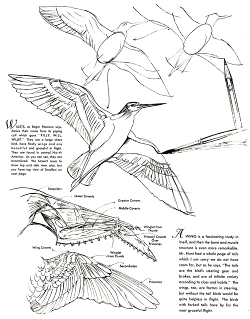 500x638 Leo Lionni Books Around The Table