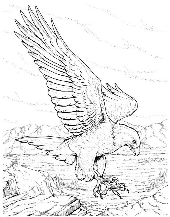 575x735 Eagle Coloring Pages