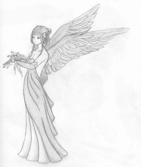 600x710 Humming Bird Wings By Jloucherrystar