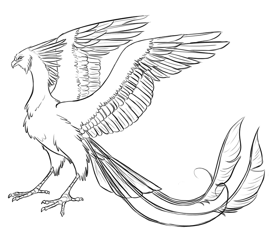 900x791 Riding Phoenix Concept Sketch By Strideroo