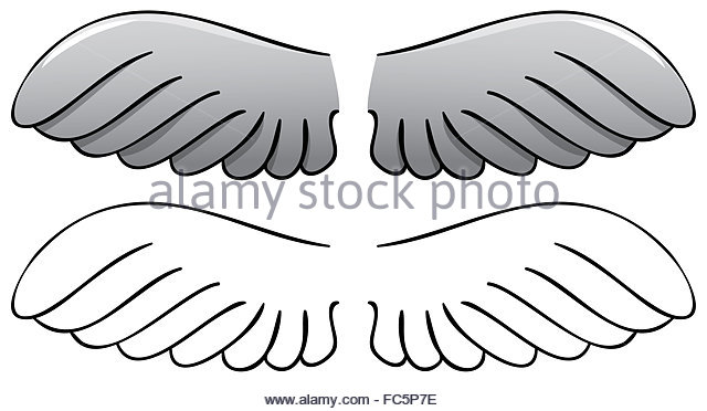 Bird Wings Drawing at GetDrawings | Free download