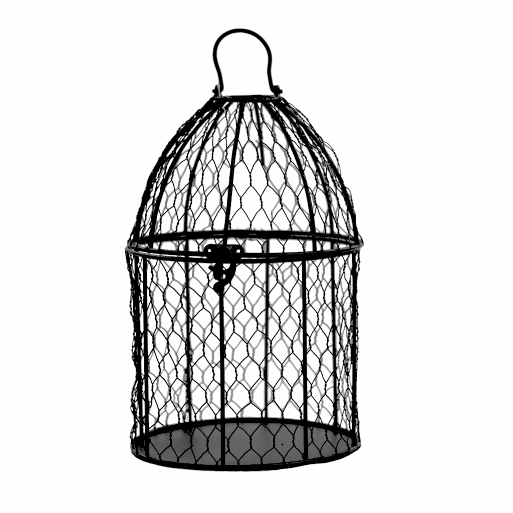 1024x1024 Birdcage (Medium)