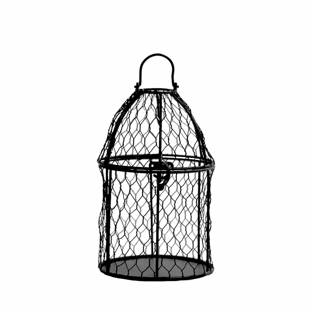 1024x1024 Birdcage (Small)