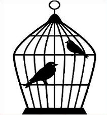211x228 Birdcage Clipart
