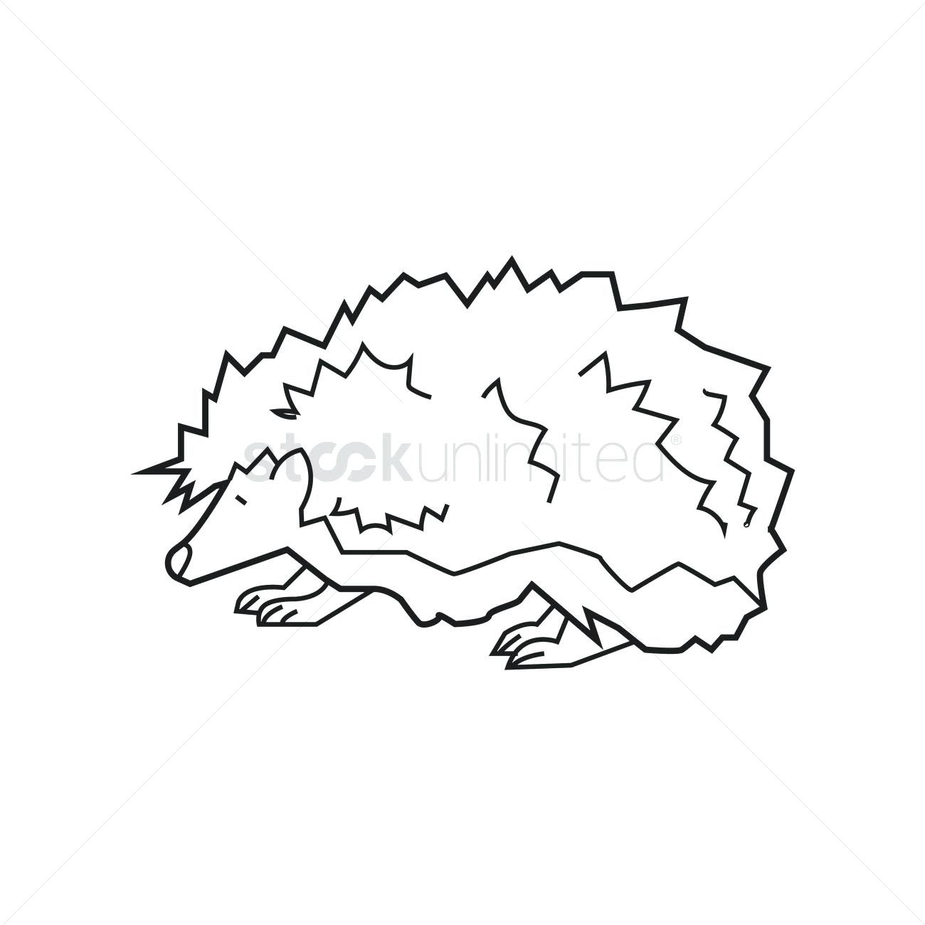 1300x1300 Hedgehog Outline Birds Of Prey Bird Tattoo Tumblr Birdcage Clipart