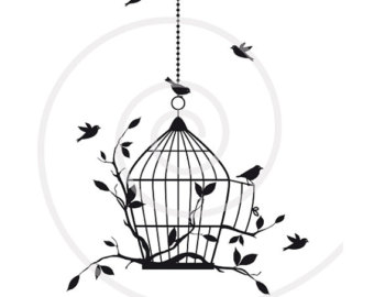 340x270 Popular Items For Bird In A Birdcage On Etsy Birds