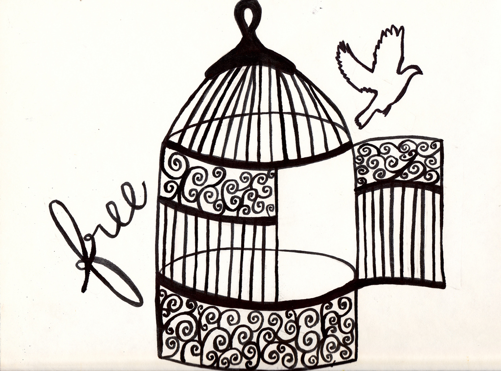 1024x759 The World's Most Recently Posted Photos Of Birdcage And Freedom