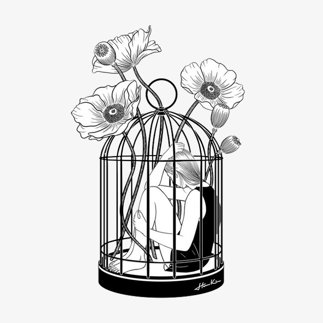650x650 Birdcage, Black, Cage, Flowers Png Image For Free Download