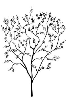 236x351 Black And White Drawings Of Bird, Birdcage And Branches Vinyl