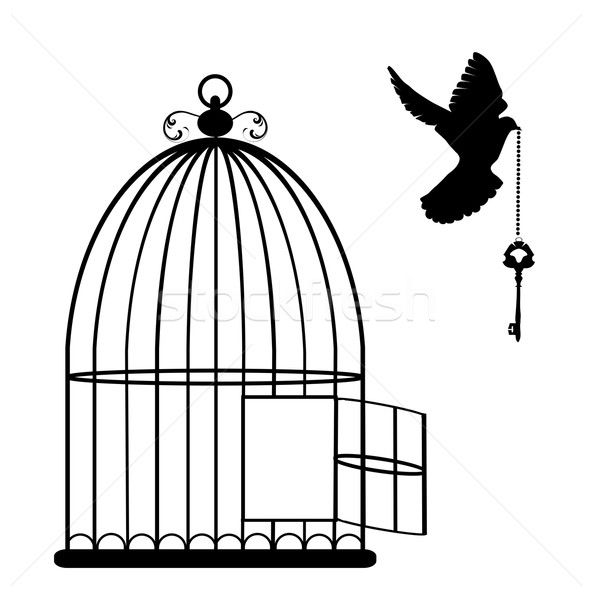 593x600 Bird Cage Vector Vector Illustration Lilac ( 6766235) Stockfresh