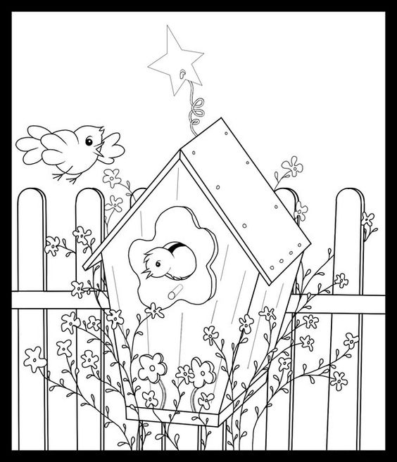 564x657 Birdhouse Coloring Pages Free Printable Coloring Pages
