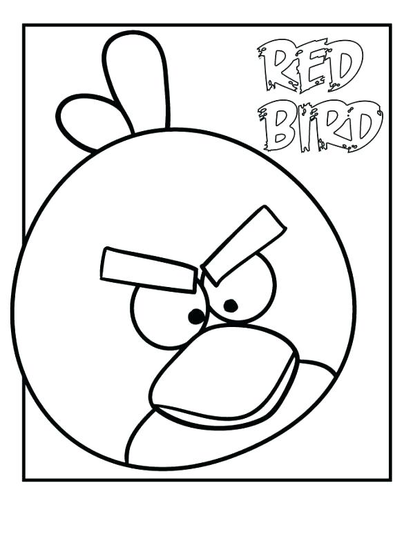 598x774 Coloring Page Of A Bird Free Printable Bird Coloring Pages Birds