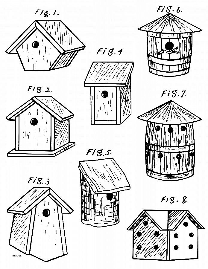 695x900 House Plan. Best Of Robin Bird Houses Plans Free Robin Bird