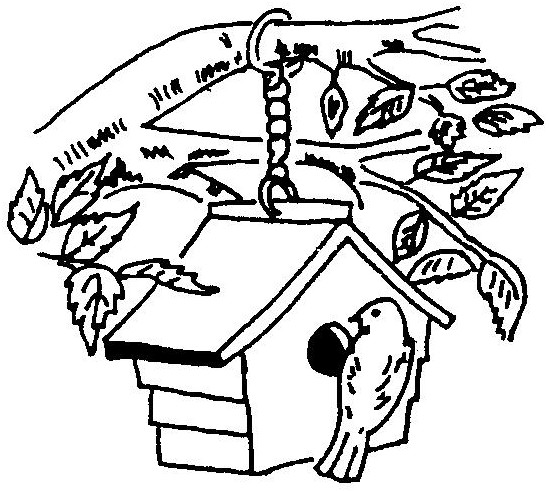 549x491 Bird House Drawing