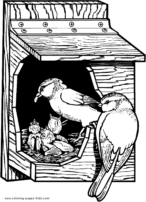 484x670 Birds Coloring Sheet