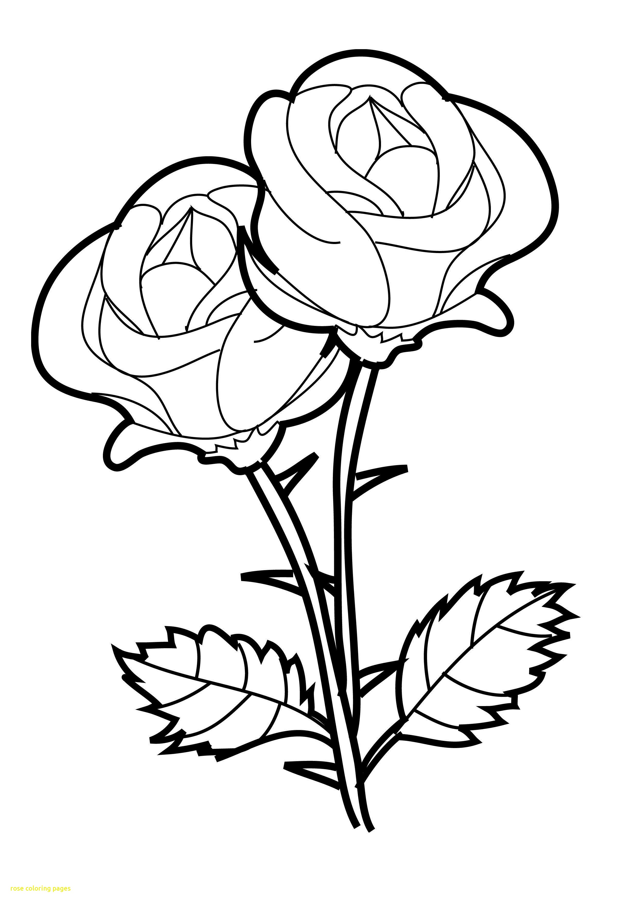 2480x3508 Rose Coloring Pages Free Printable Roses On Birdhouse
