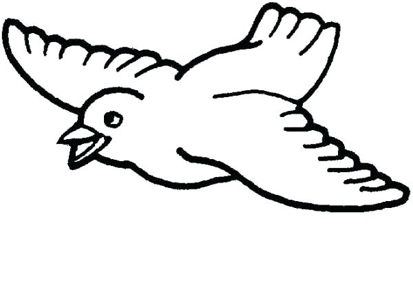 600x424 Coloring Page Bird