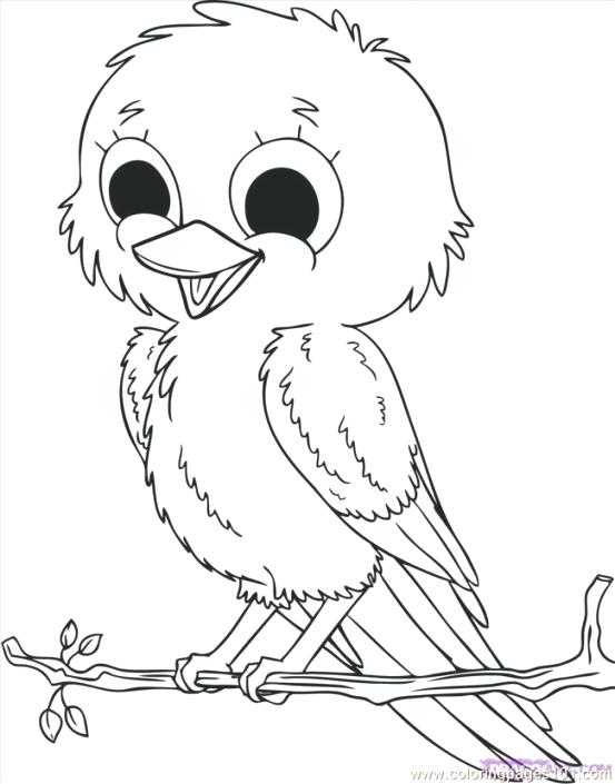 553x705 Bird Coloring Pages Adults X Birdhouse Coloring Pages