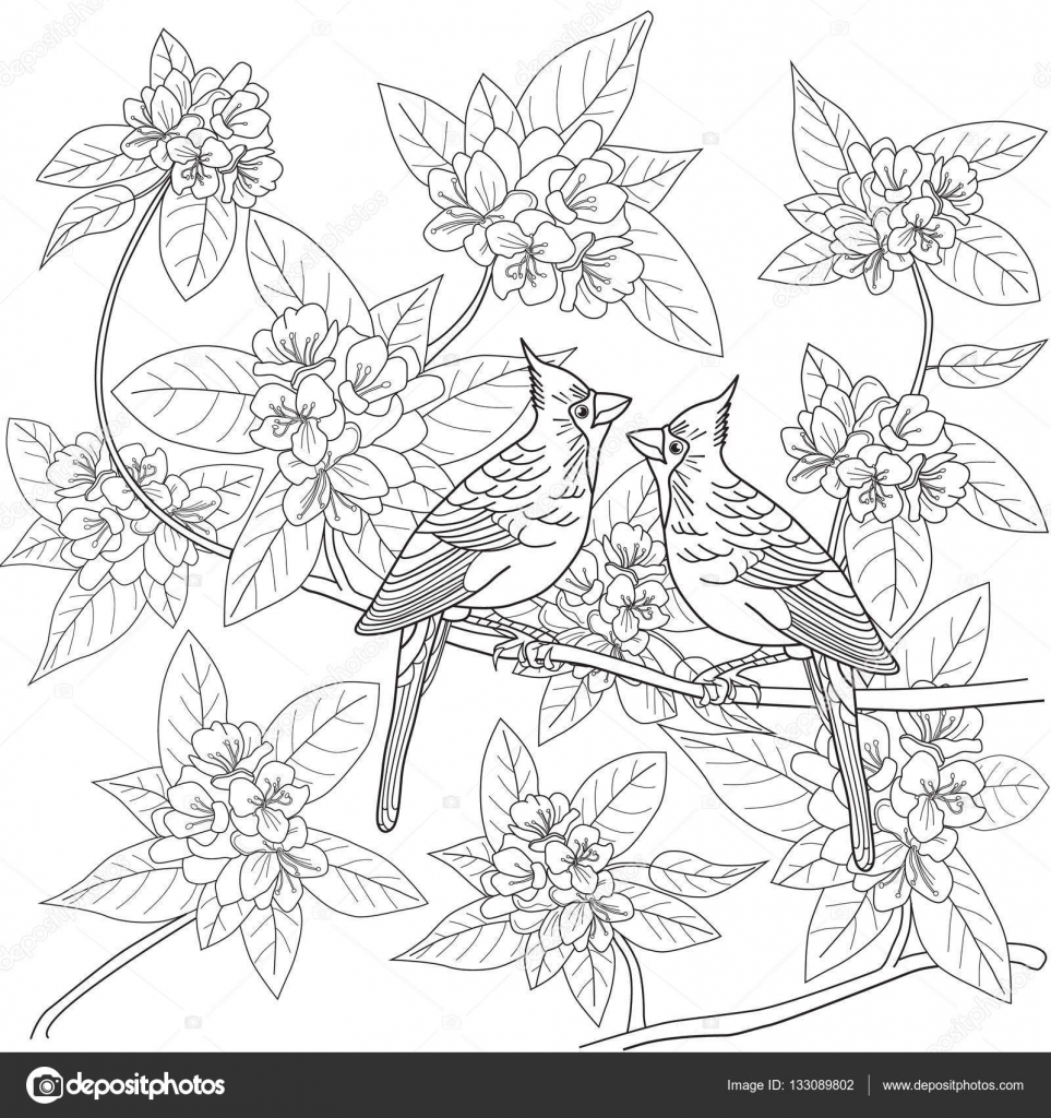 963x1024 Coloring Page For Adults With Birds And Flowers Stock Vector