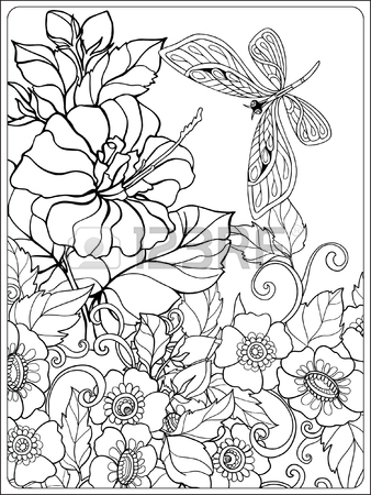 338x450 Decorative Flowers And Birds. Coloring Book For Adult And Older