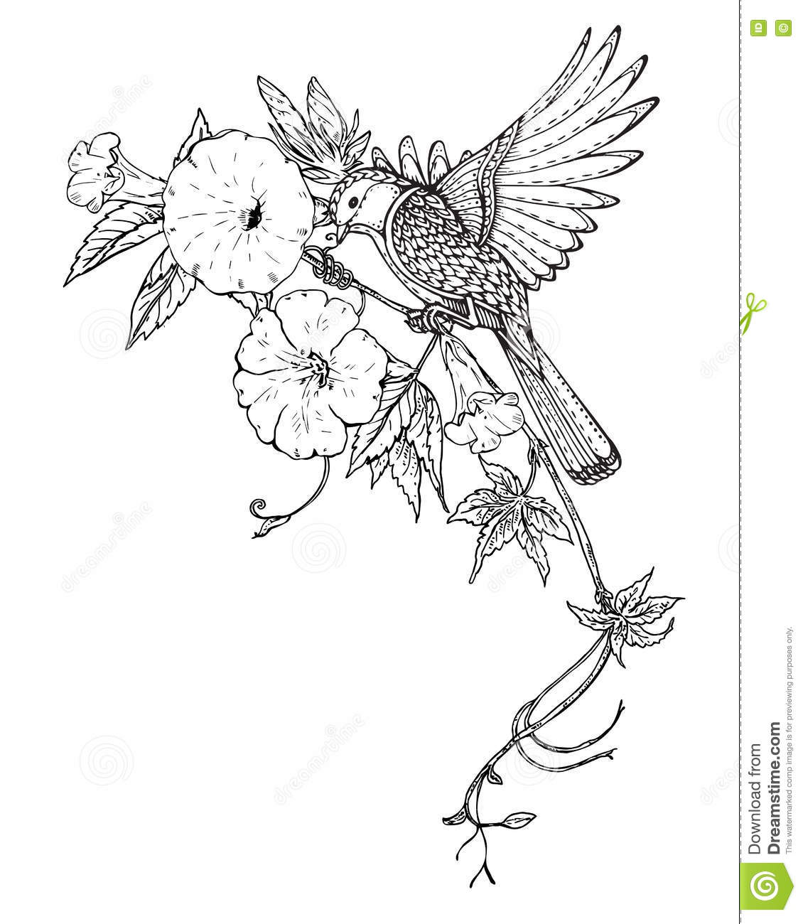 1130x1300 Drawn Bird Flower